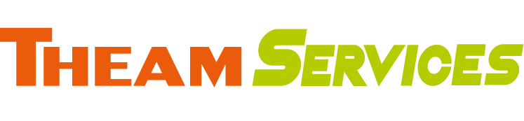 logo theam services
